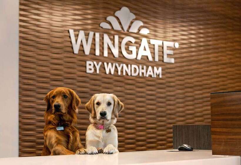 Szálloda Wingate By Wyndham Lethbridge