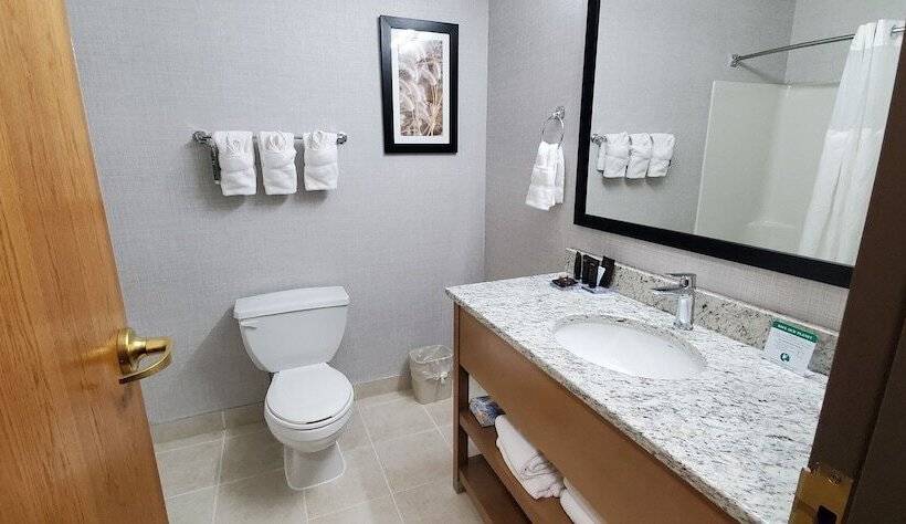 Szálloda Wingate By Wyndham Lethbridge