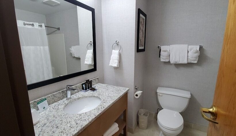 Szálloda Wingate By Wyndham Lethbridge