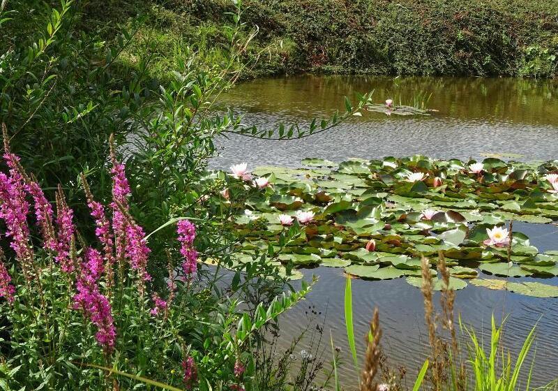 Landhotel Kastanienallee Putbus