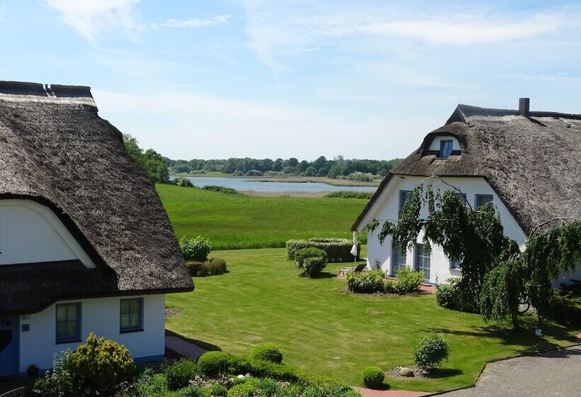 Landhotel Kastanienallee Putbus