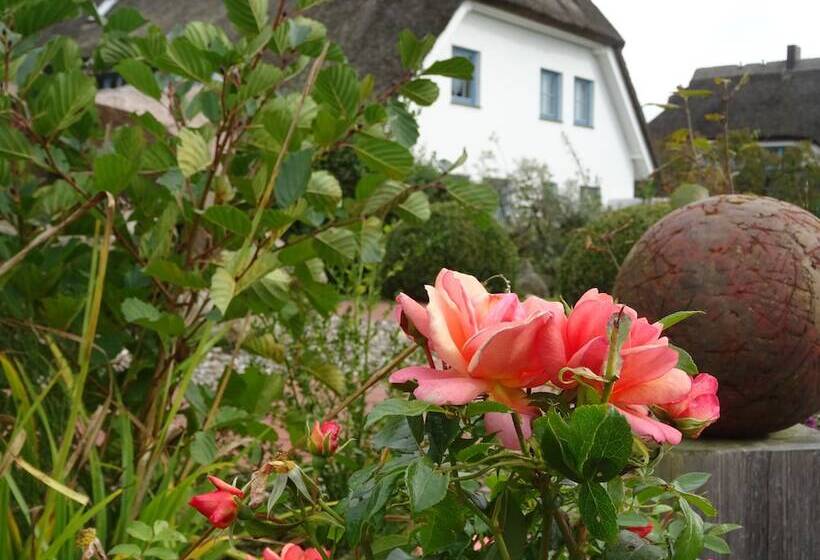 Landhotel Kastanienallee Putbus