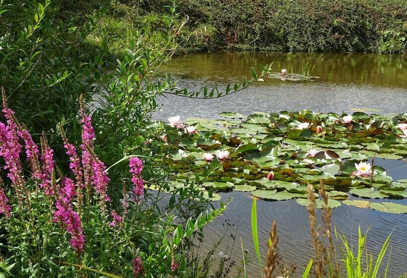 Landhotel Kastanienallee Putbus