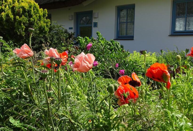 Landhotel Kastanienallee Putbus