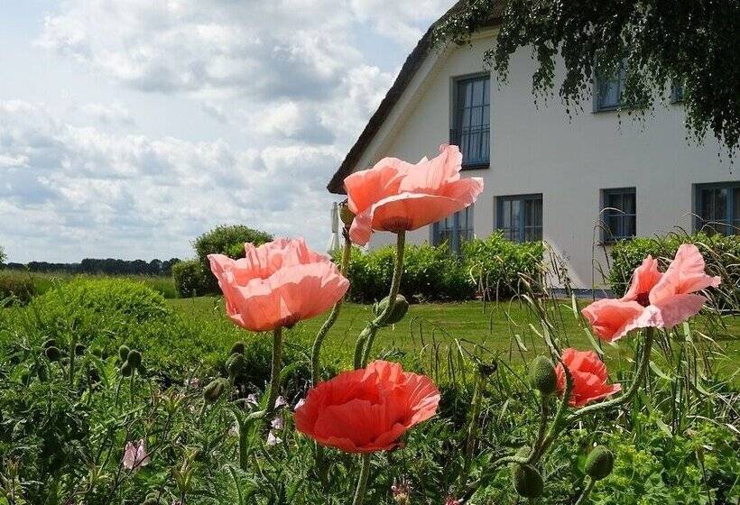 Landhotel Kastanienallee Putbus