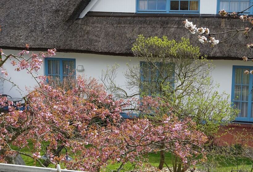 Landhotel Kastanienallee Putbus