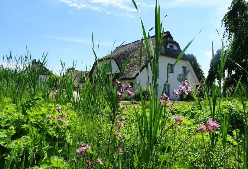Landhotel Kastanienallee Putbus