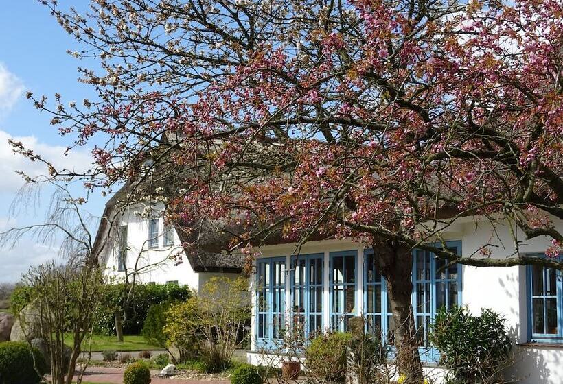 Landhotel Kastanienallee Putbus