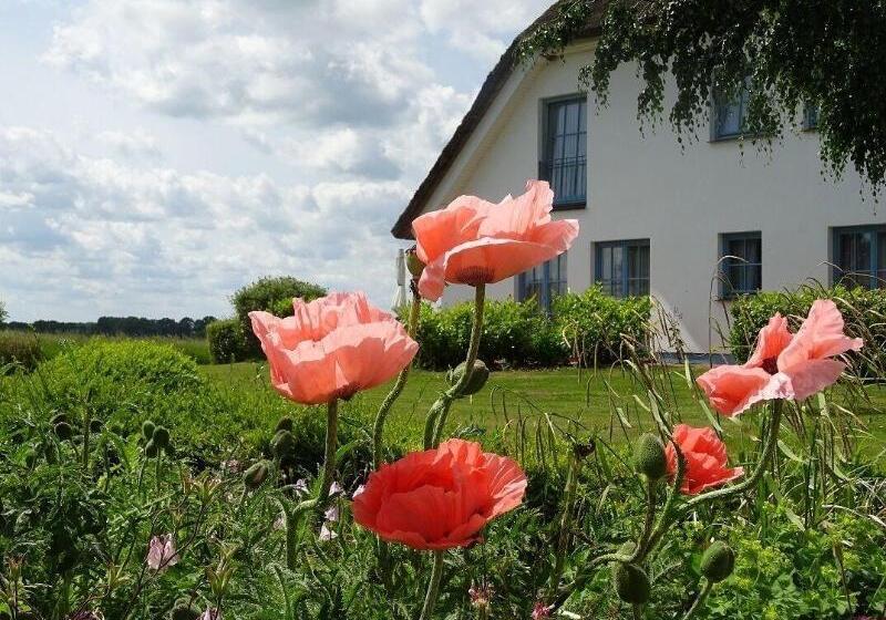 Landhotel Kastanienallee Putbus