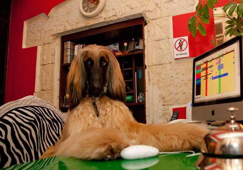 Miramare Cagliari Hotel Museo