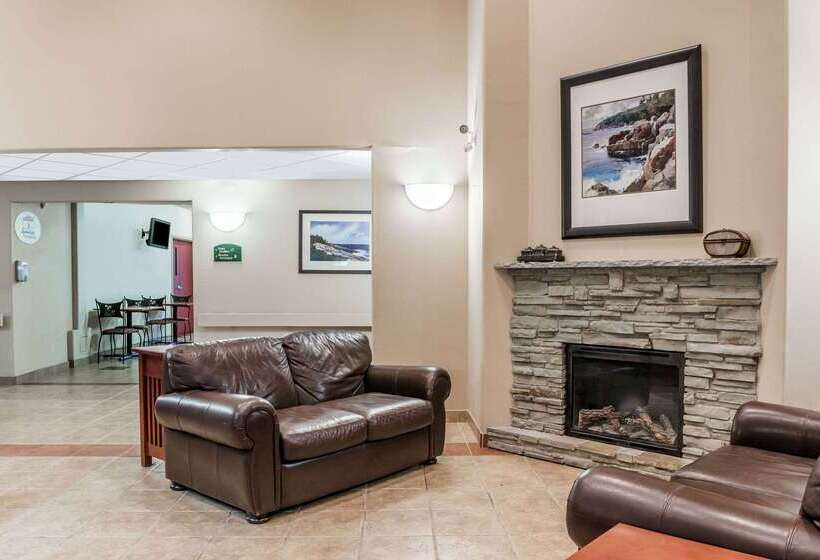 モーテル Super 8 By Wyndham St Johns