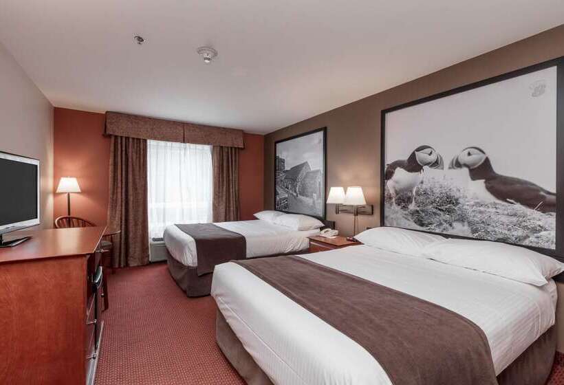 モーテル Super 8 By Wyndham St Johns