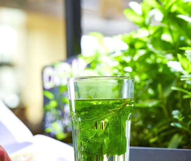 Stayokay Hostel Amsterdam Vondelpark