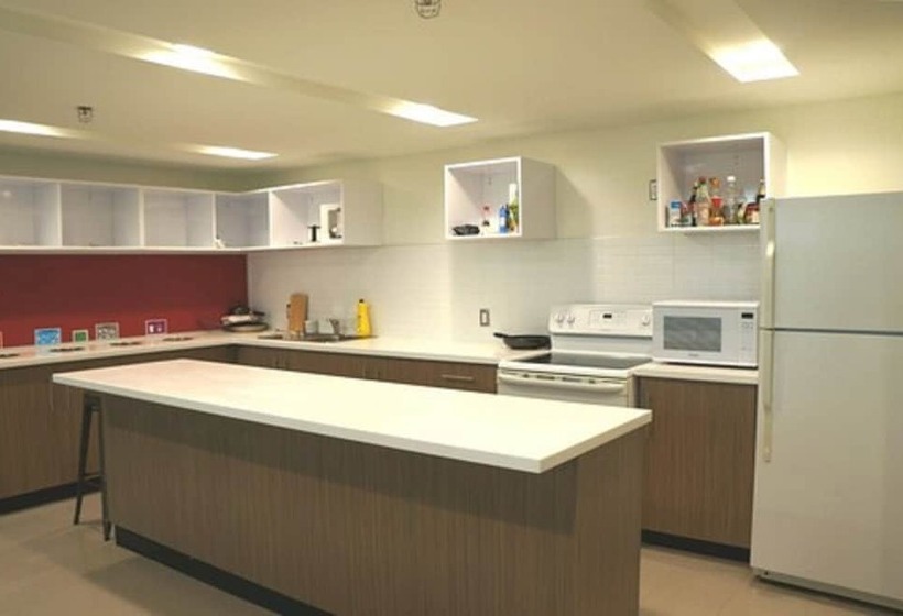 University Of Toronto New College Residence 45 Willcocks Residence