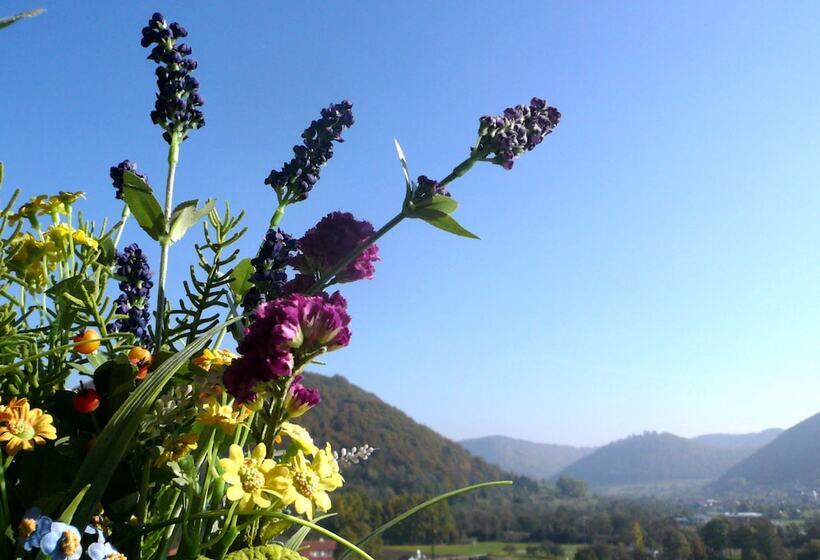 Akzent Hotel Höhenblick