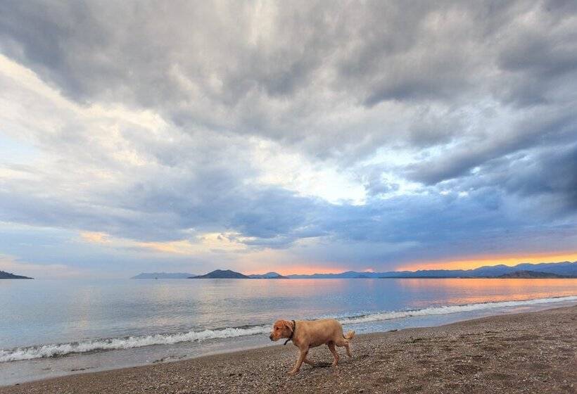 בית מלון כפרי Belle Vue ölüdeniz
