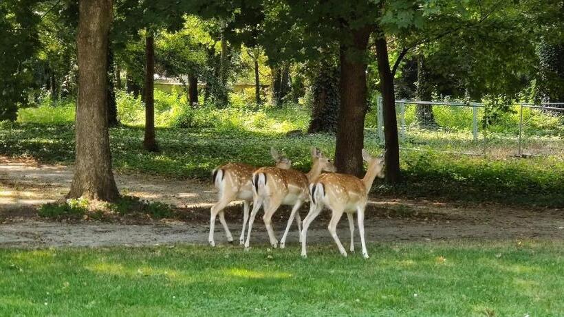 Gartenhotel Altmannsdorf
