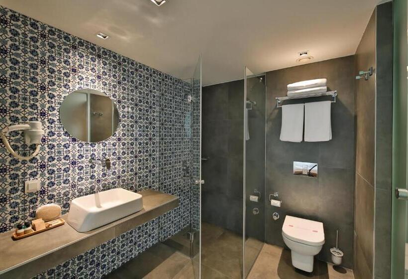 בית מלון כפרי Alilass