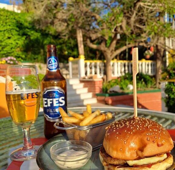 בית מלון כפרי Altinsaray