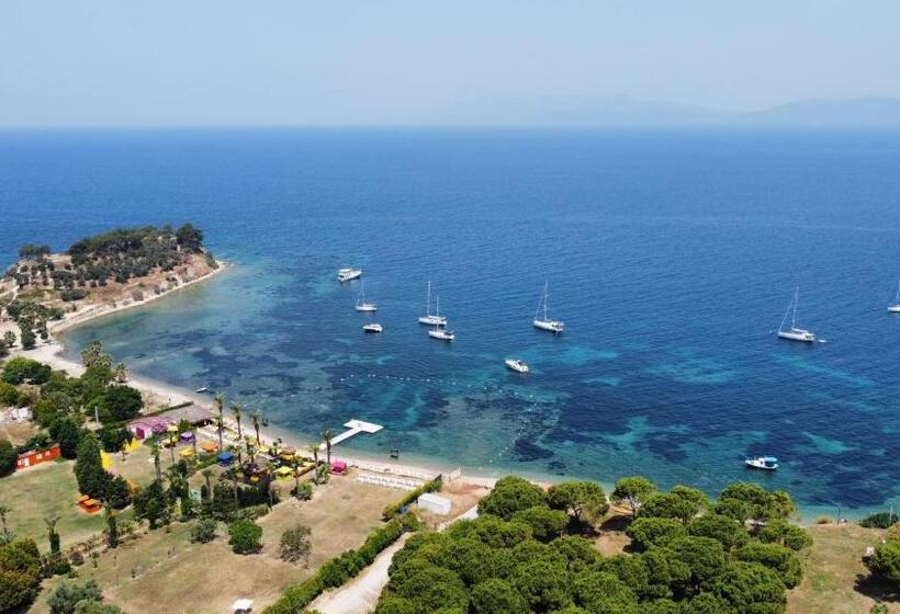 בית מלון כפרי Altinsaray