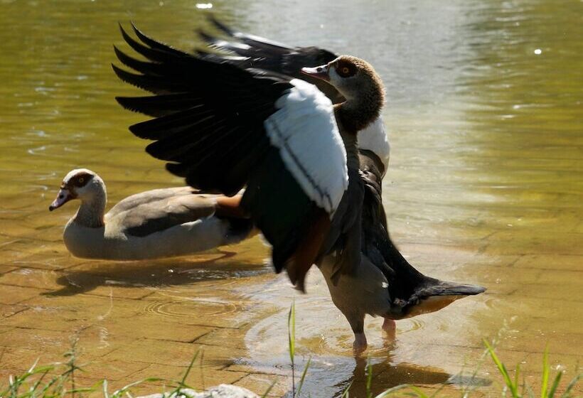 酒店 Am Schlosspark , Wiesbaden