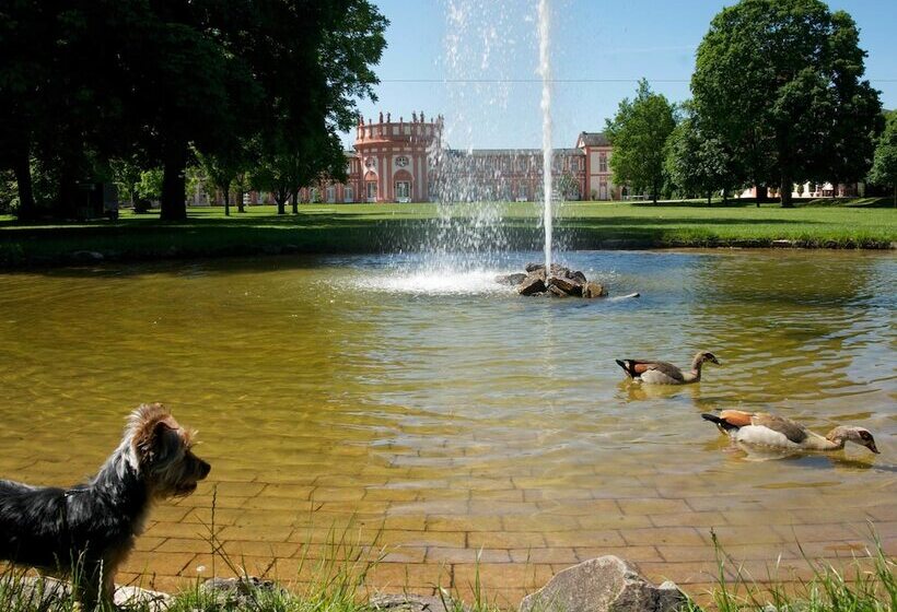 酒店 Am Schlosspark , Wiesbaden