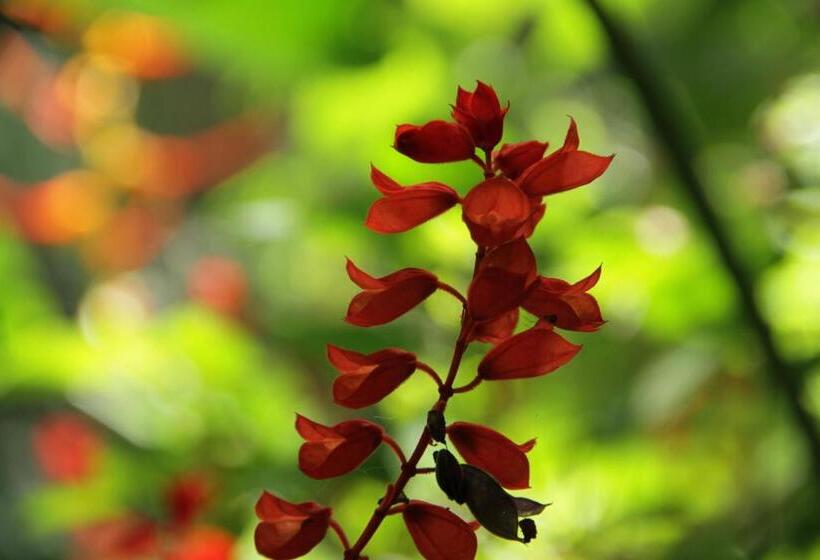 호텔 Campestre La Floresta