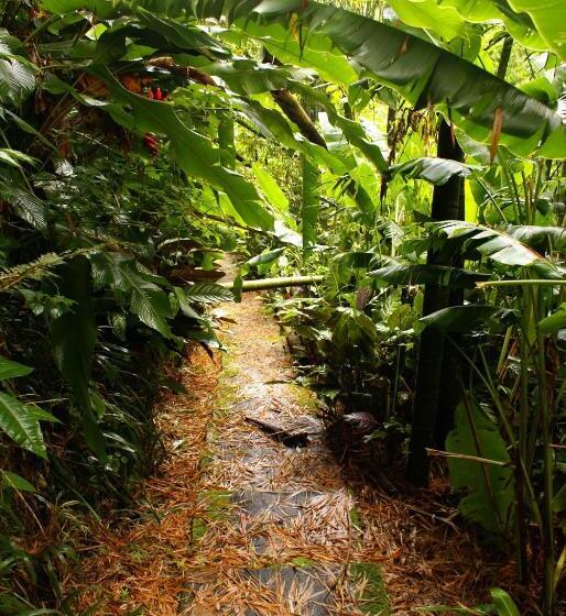 호텔 Campestre La Floresta