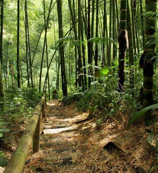 호텔 Campestre La Floresta