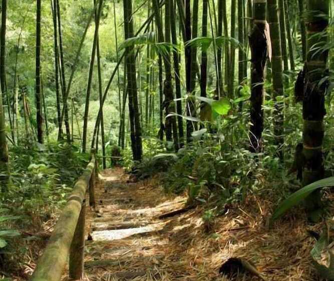 호텔 Campestre La Floresta