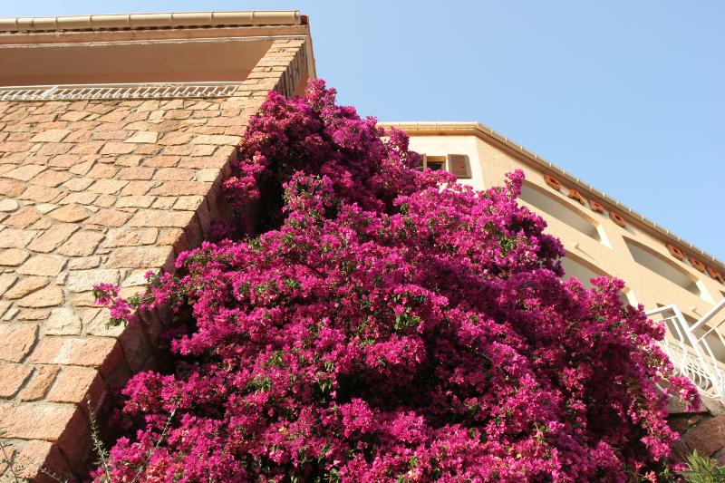 Отель Capo D Orto   Porto   Corse