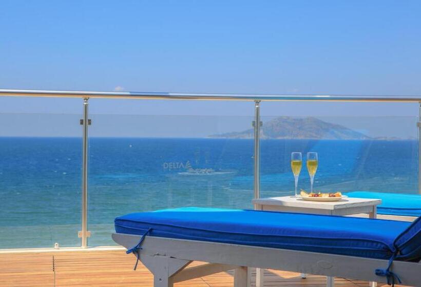 בית מלון כפרי Delta