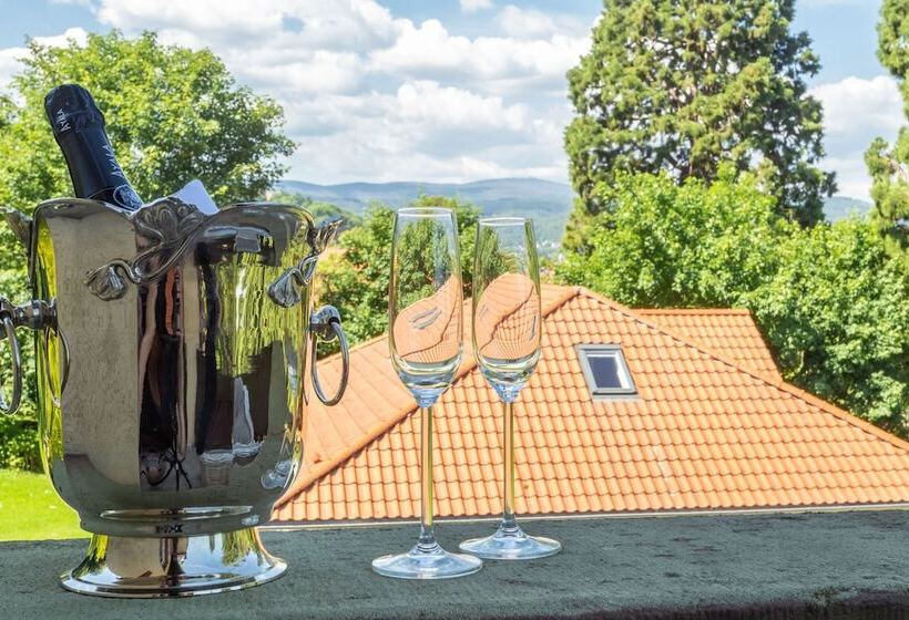 בית מלון כפרי Erbprinzenpalais