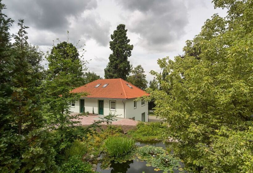 בית מלון כפרי Erbprinzenpalais