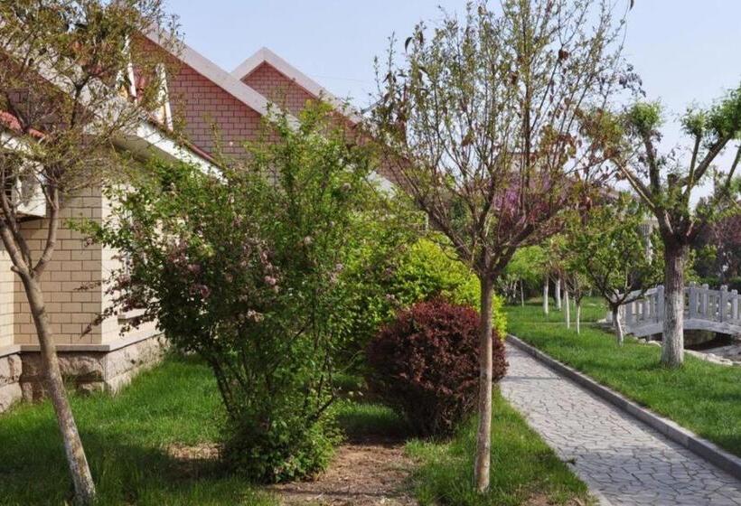 酒店 Yantai Jinghai