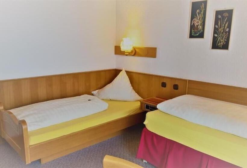 בית מלון כפרי Gasthof Ulrich Meyer