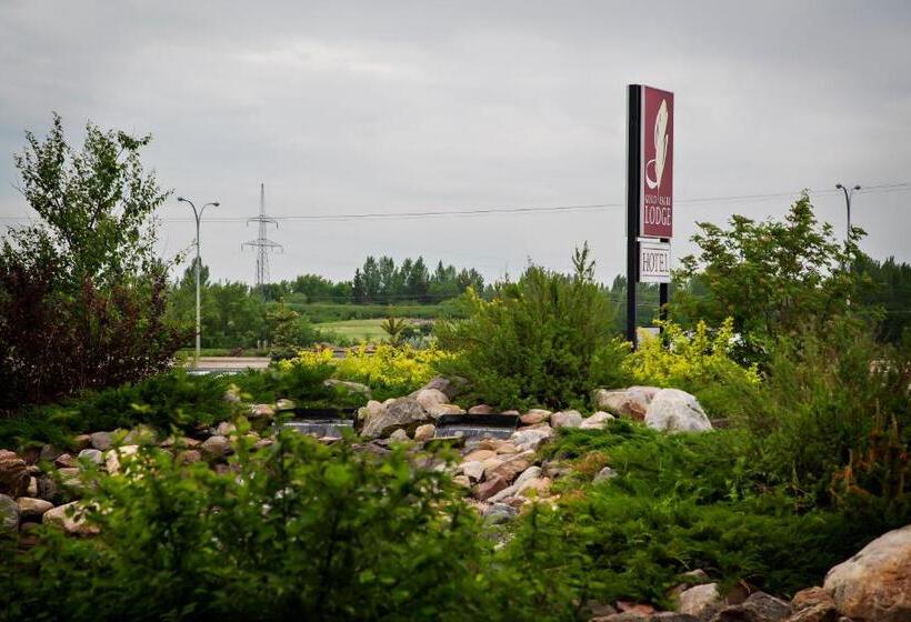 فندق Gold Eagle Lodge