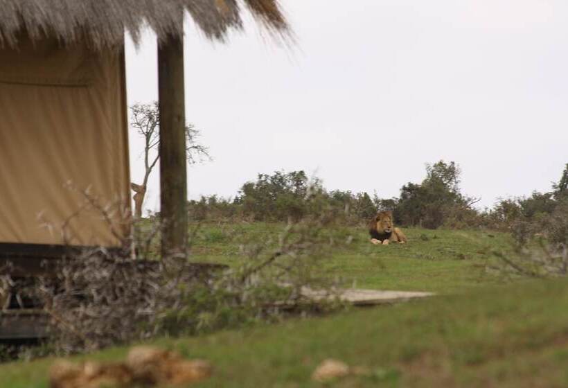 هتل Gorah Elephant Camp