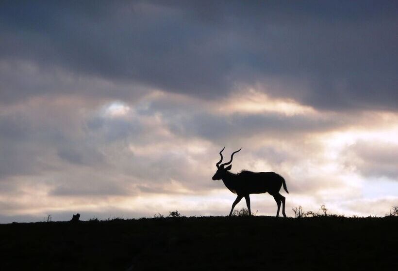 هتل Gorah Elephant Camp