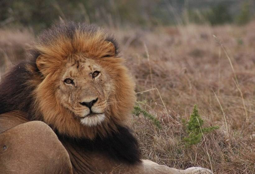 هتل Gorah Elephant Camp