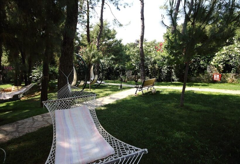 Отель Greenland All Inclusive