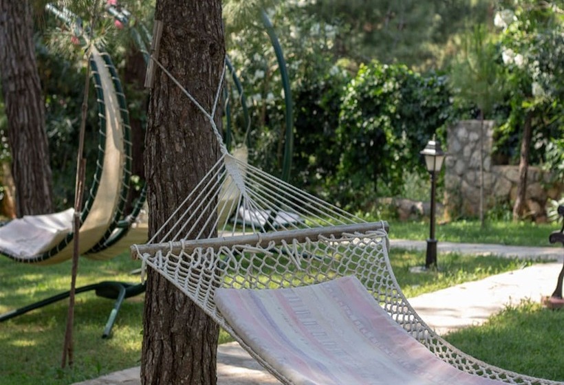 Отель Greenland All Inclusive