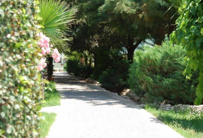 Отель Greenland All Inclusive