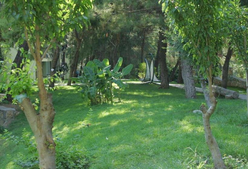 Отель Greenland All Inclusive