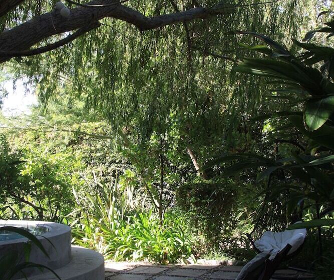 فندق Mimosa Lodge