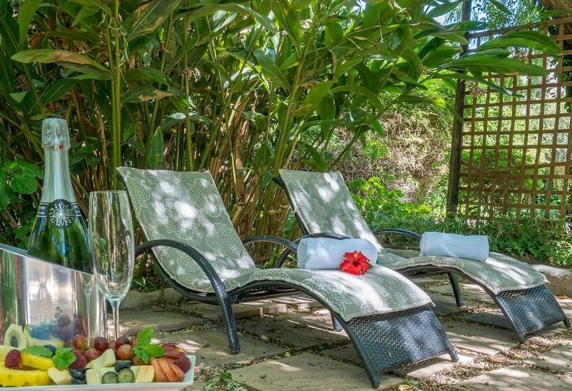 فندق Mimosa Lodge