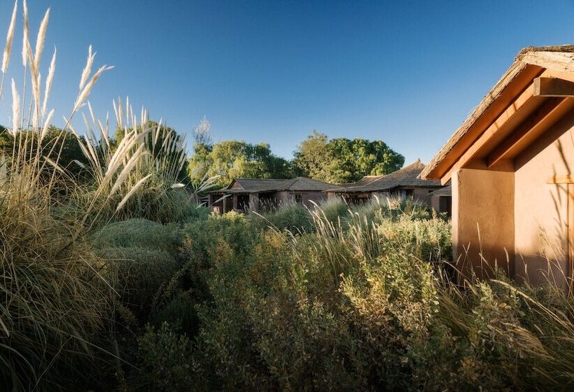 ホテル Our Habitas Atacama