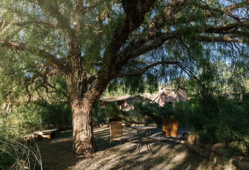 ホテル Our Habitas Atacama