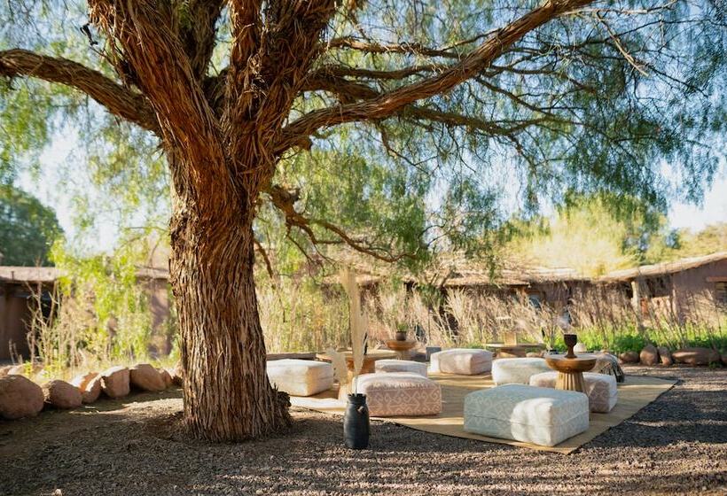 ホテル Our Habitas Atacama