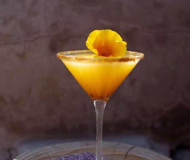 ホテル Our Habitas Atacama